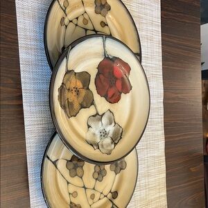 Pfaltzgraff Painted Poppies Dinnerware